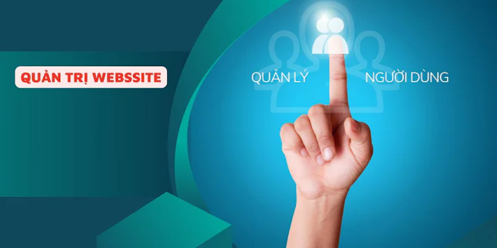 Hướng Dẫn Quản Trị Web WordPress Cơ Bản Cho Người Mới